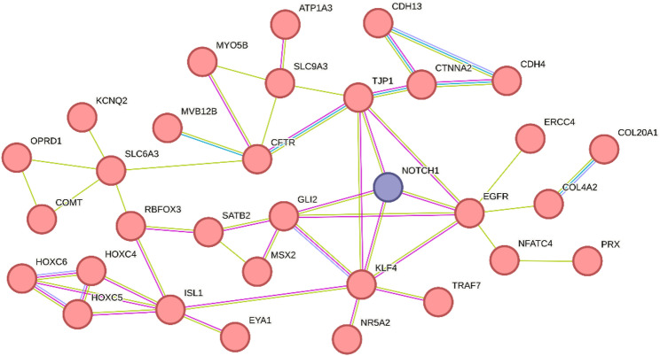 Figure 4