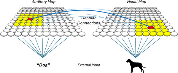 FIGURE 3