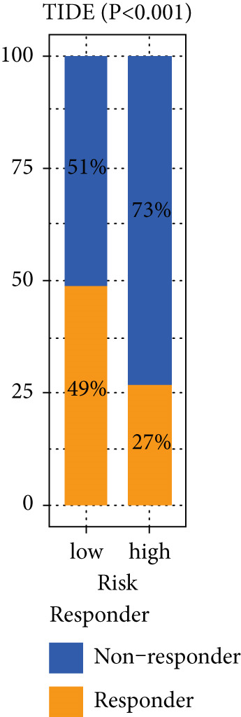 Figure 20