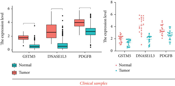 Figure 24