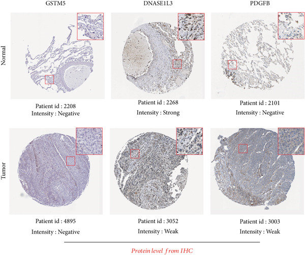 Figure 26