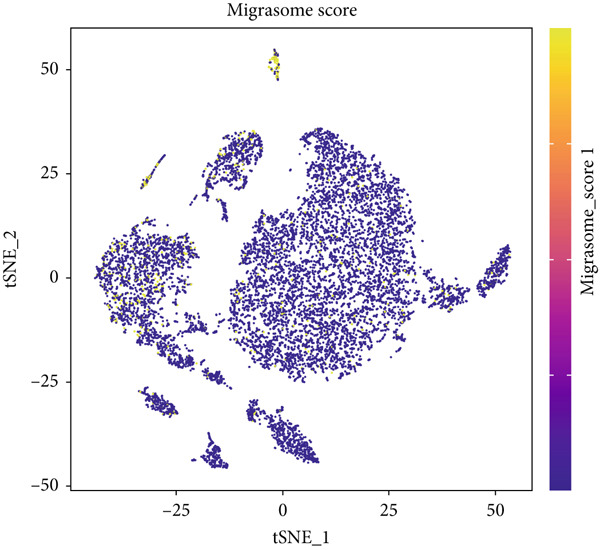 Figure 29