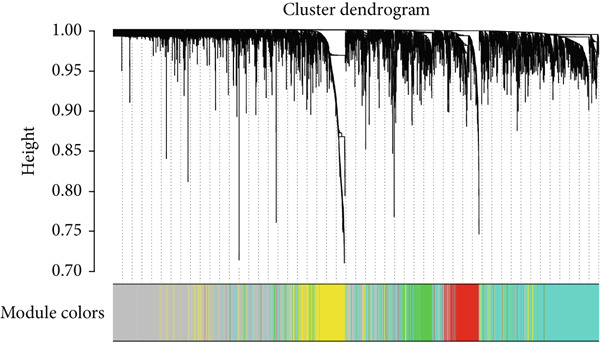 Figure 31