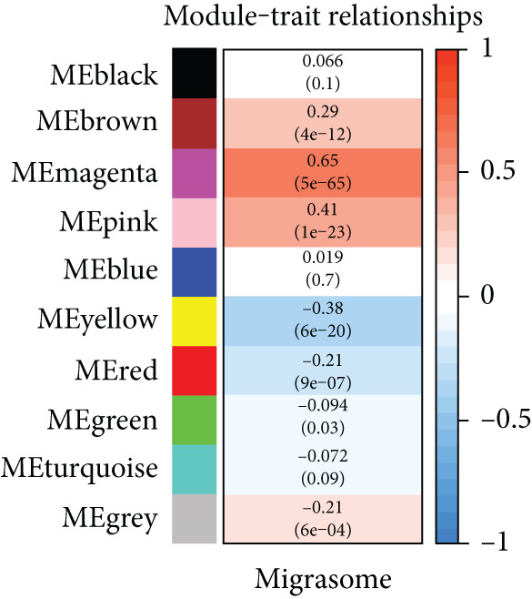 Figure 32