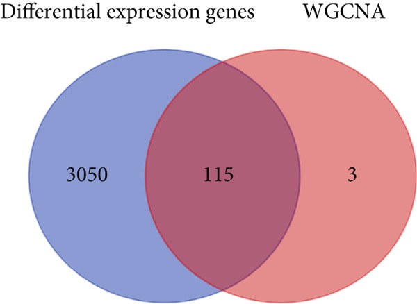 Figure 34