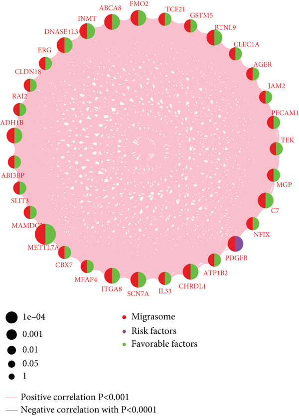 Figure 36
