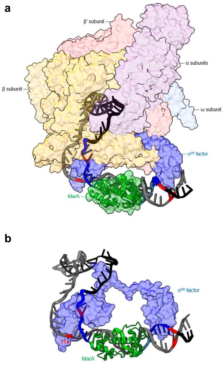 Figure 6