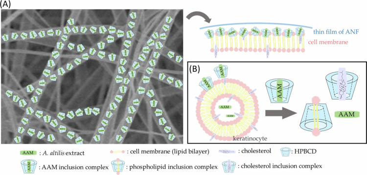 Figure 10