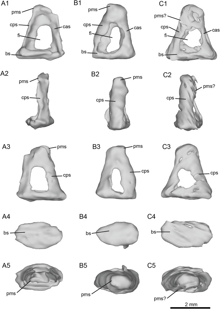 Figure 7