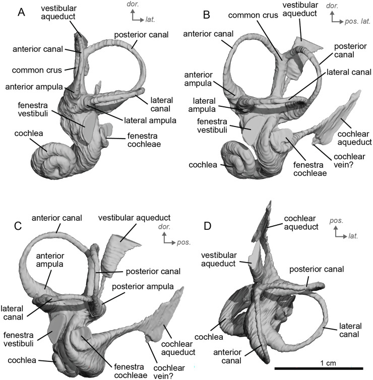 Figure 13
