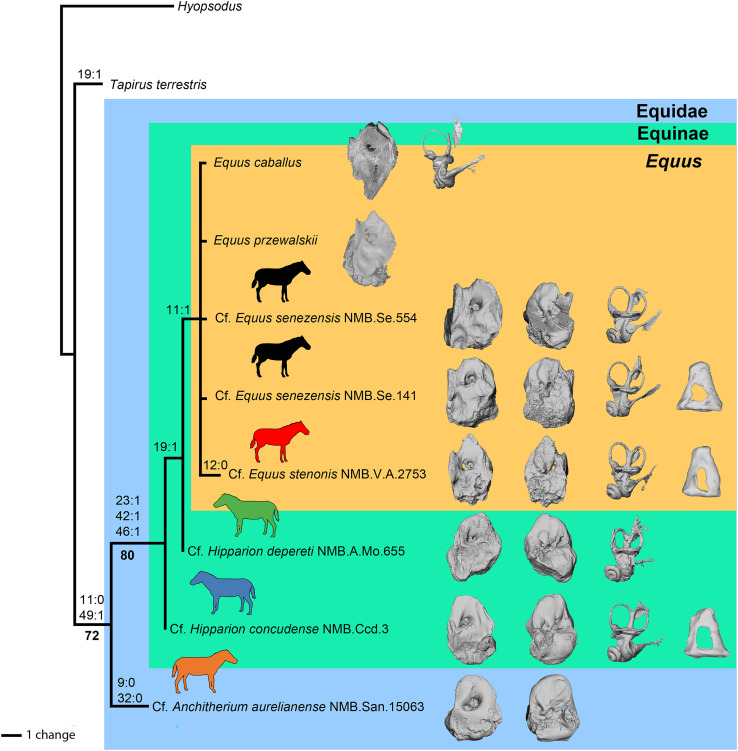 Figure 14