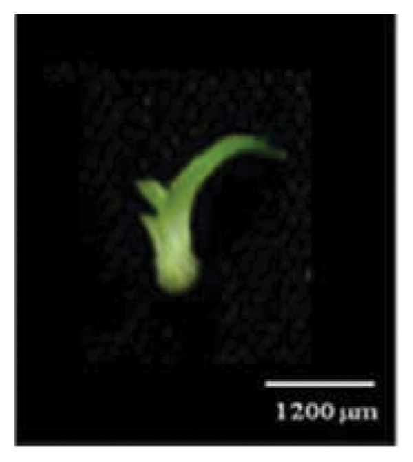 Figure 9