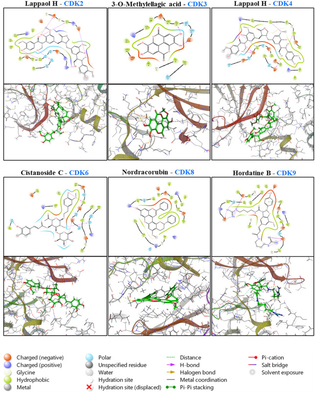 Fig 10