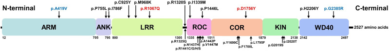 Fig 1