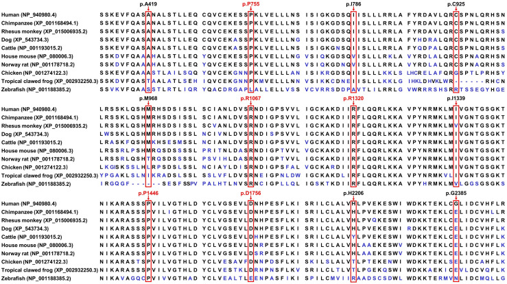 Fig 2