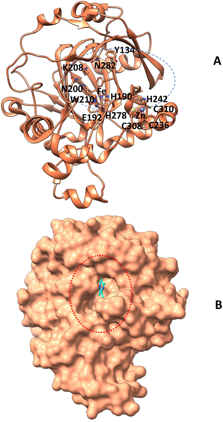Fig 1