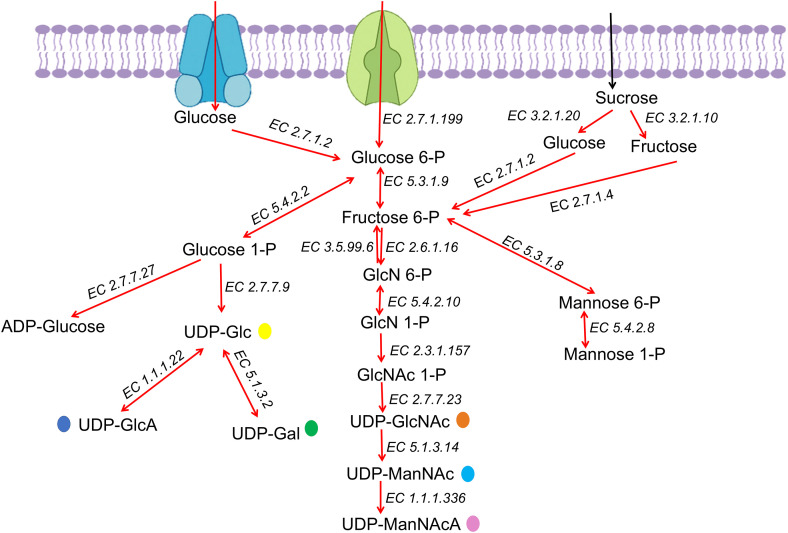 Fig 6