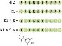 FIGURE 2