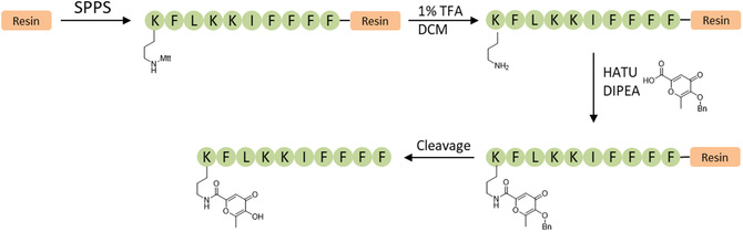 FIGURE 7