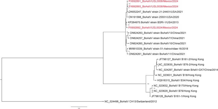 FIGURE 1