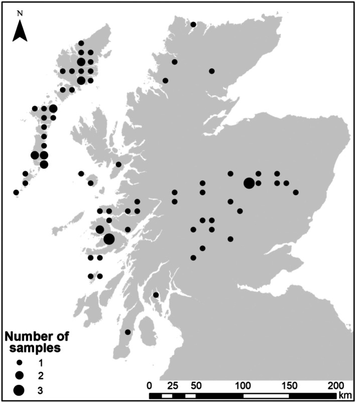 FIGURE 1