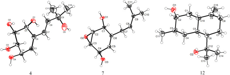 Figure 5