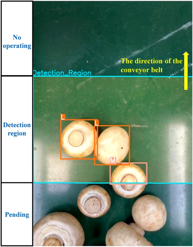 FIGURE 12