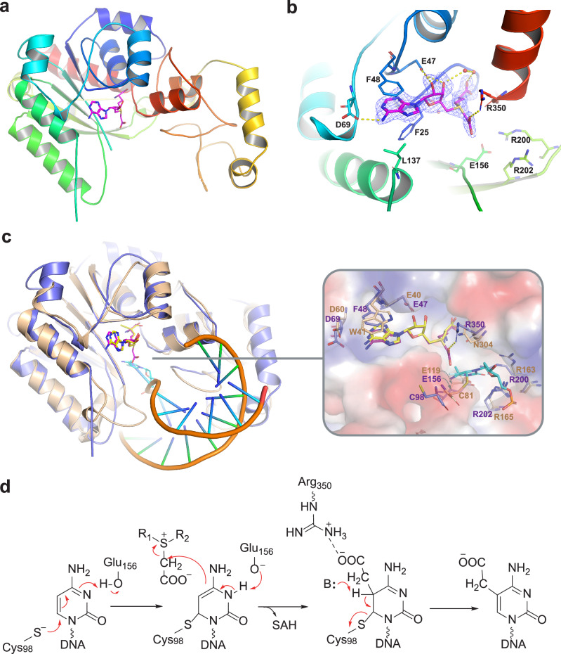 Figure 5