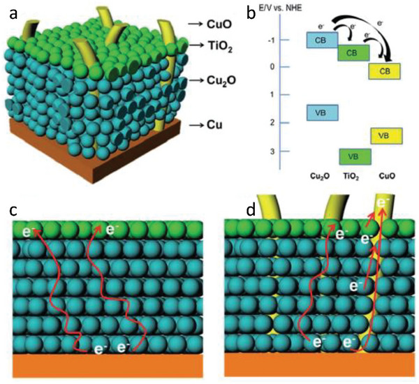 FIGURE 13