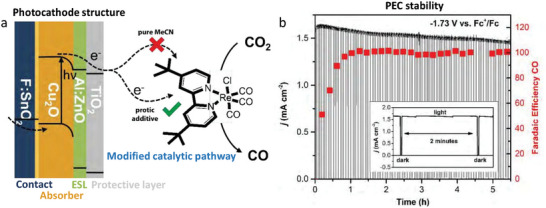 FIGURE 16