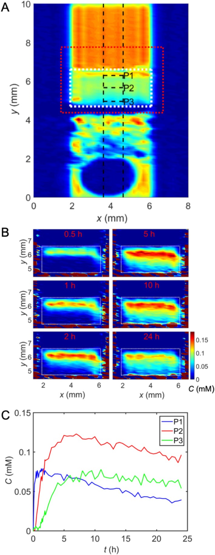 FIGURE 3
