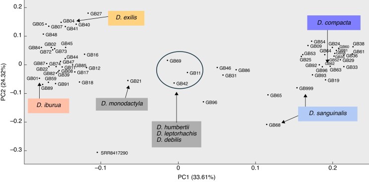 Fig. 4
