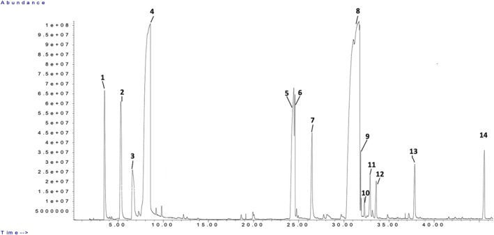 FIGURE 4