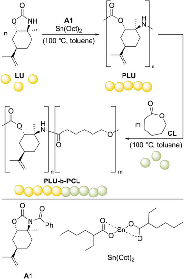 SCHEME 1