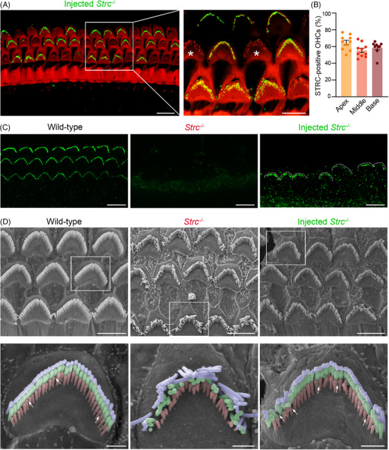 FIGURE 3