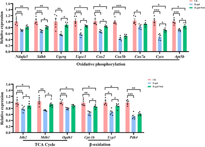 FIGURE 3
