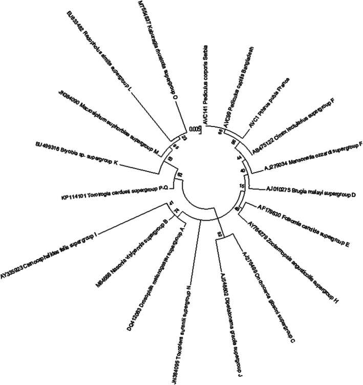 FIGURE 3
