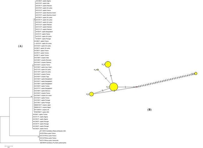 FIGURE 1