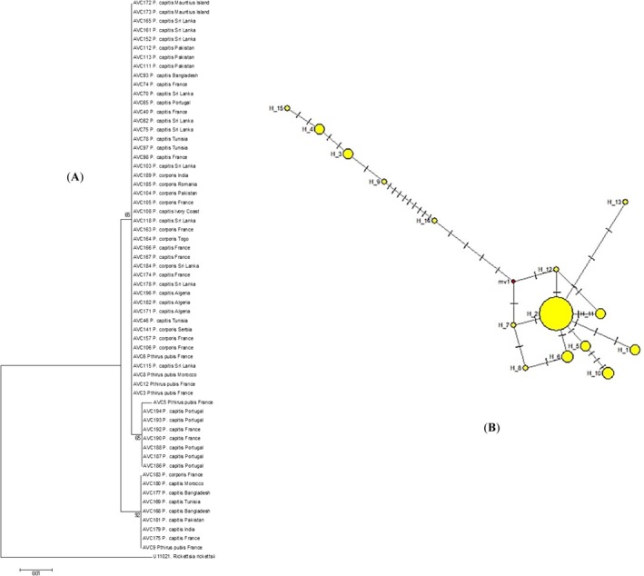 FIGURE 2