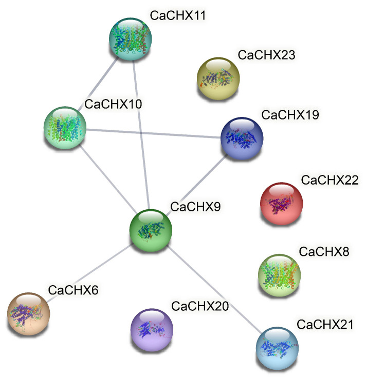 Figure 7