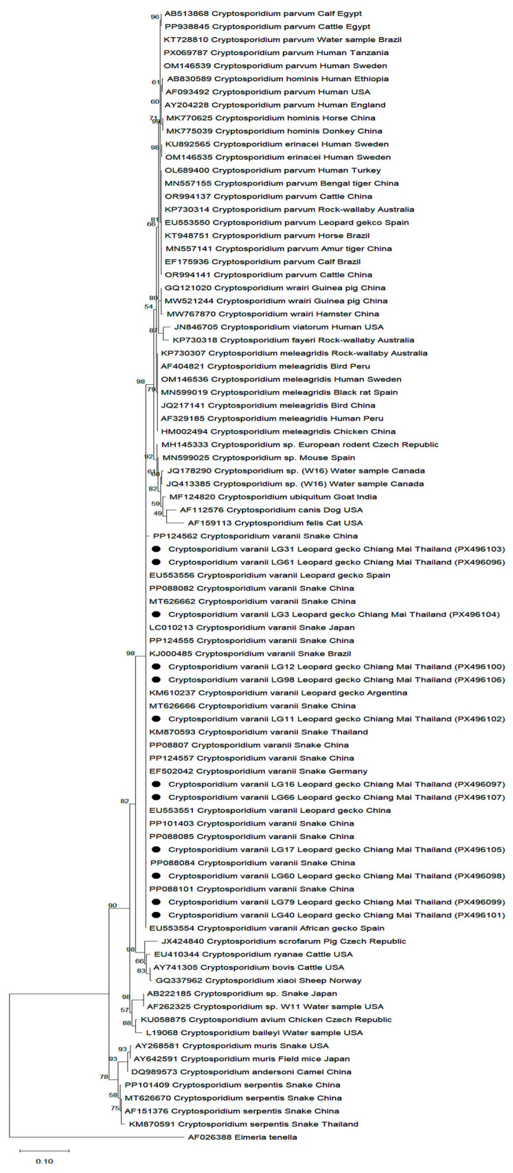 Figure 5