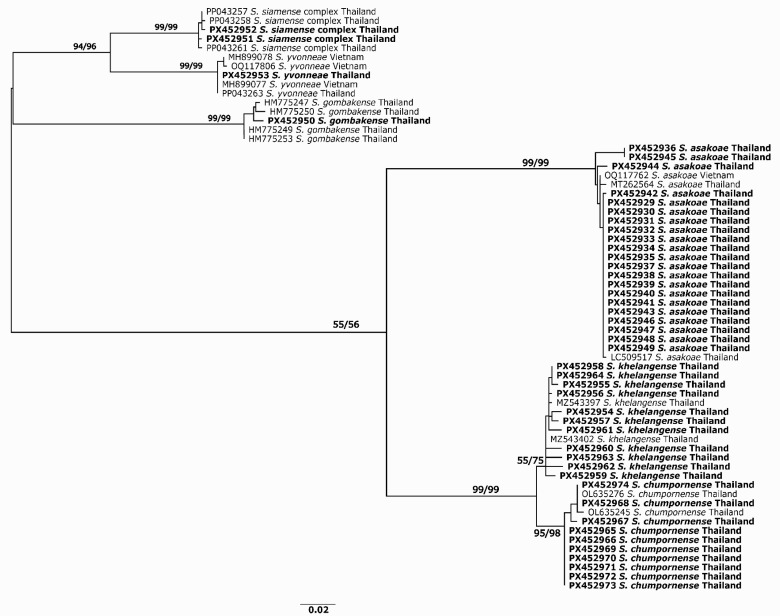 Figure 2