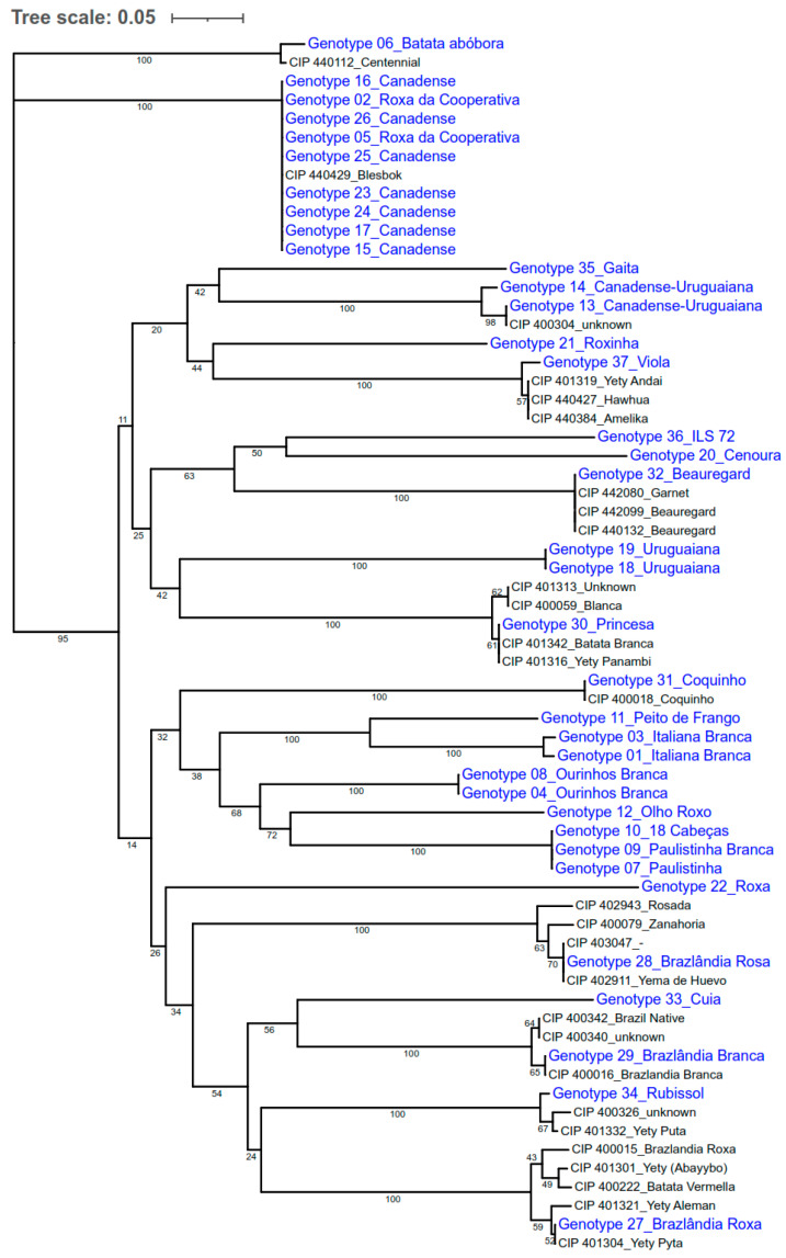 Figure 4