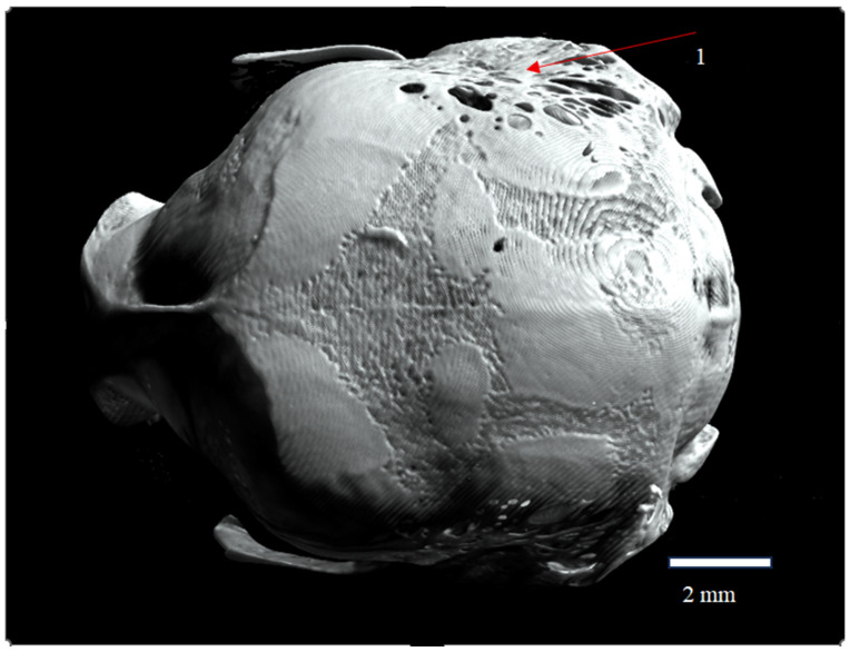 Figure 6