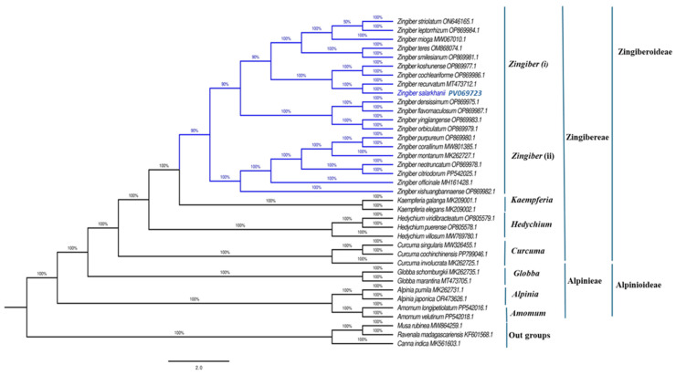 Figure 11