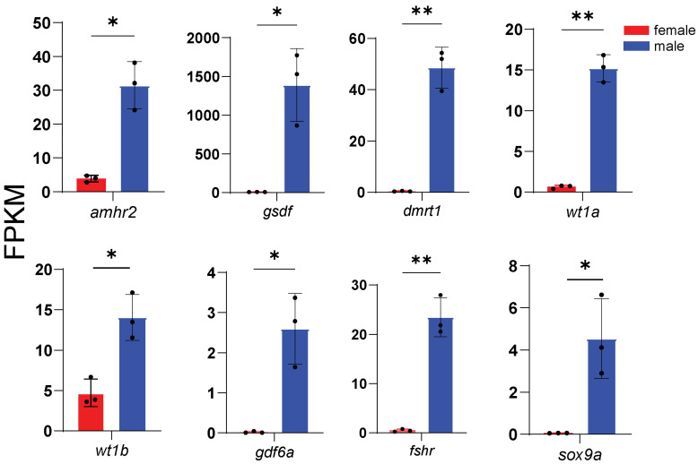 Figure 5