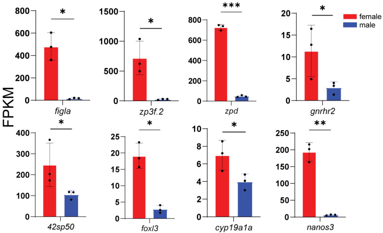 Figure 7