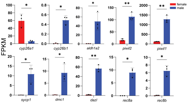Figure 10