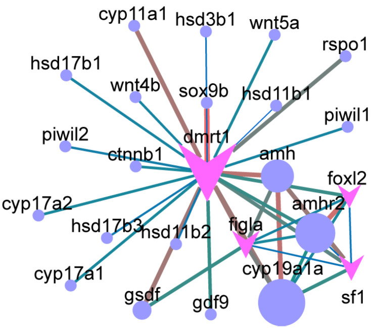 Figure 11