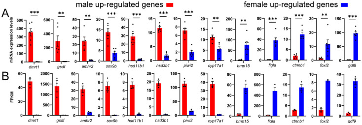Figure 13